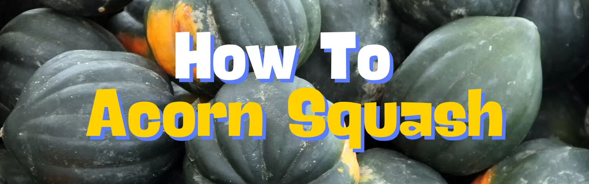 How To Acorn Squash How To Acorn Squash