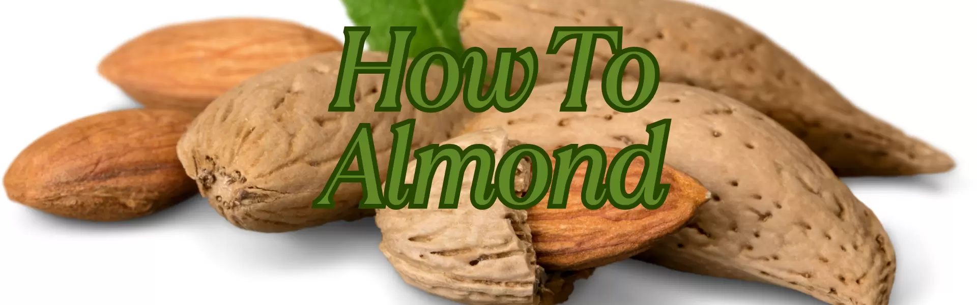 How To Almond How To Almond