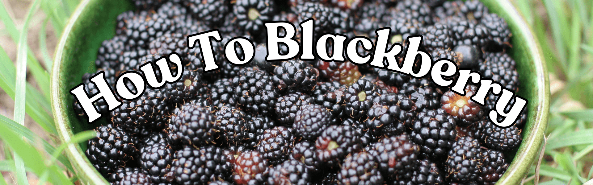 How To Blackberry