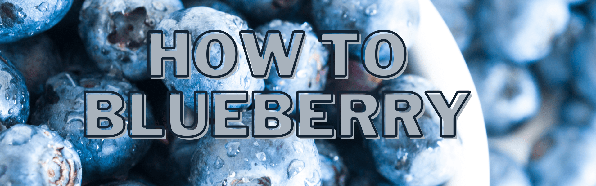 How To Blueberry