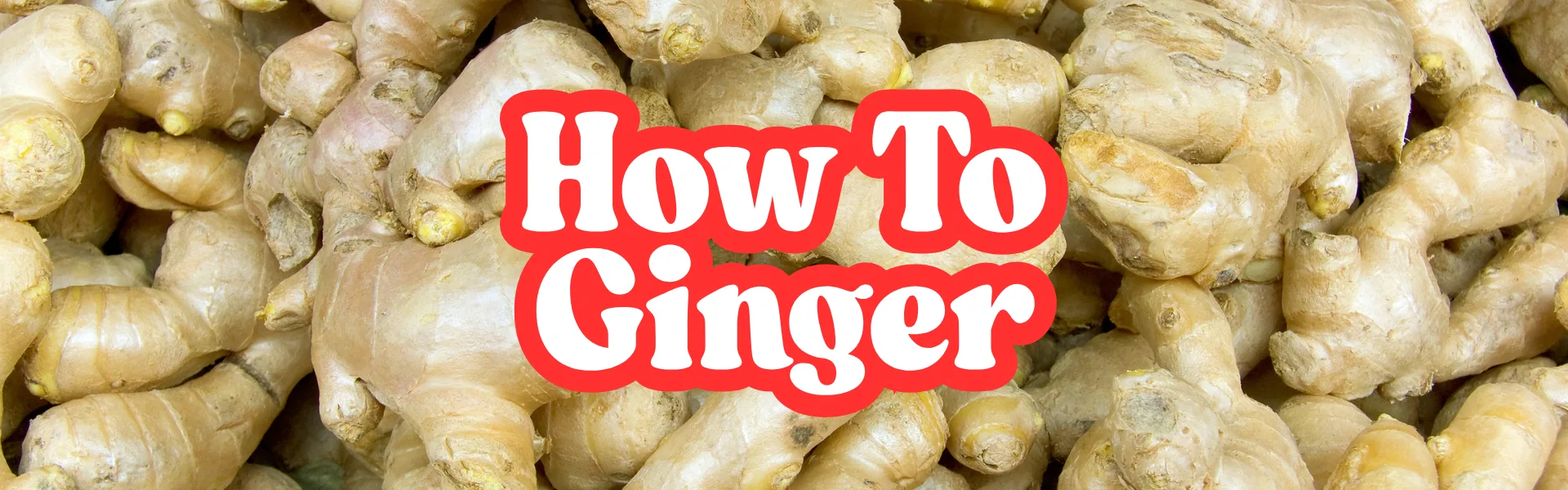 How To Ginger