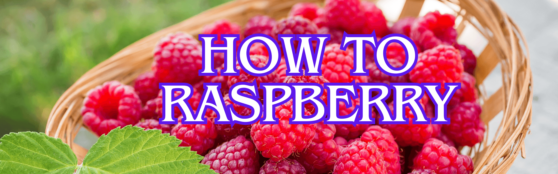 How To Raspberry
