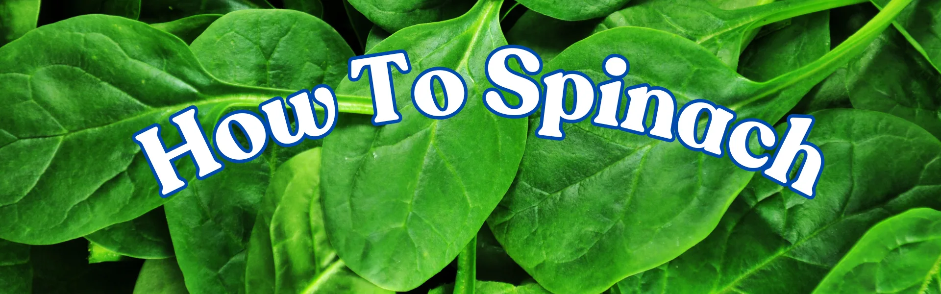 How To Spinach How To Spinach