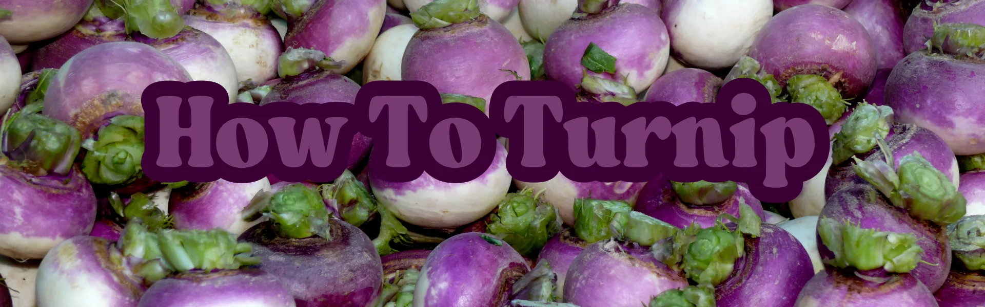 How To Turnip (1) How To Turnip