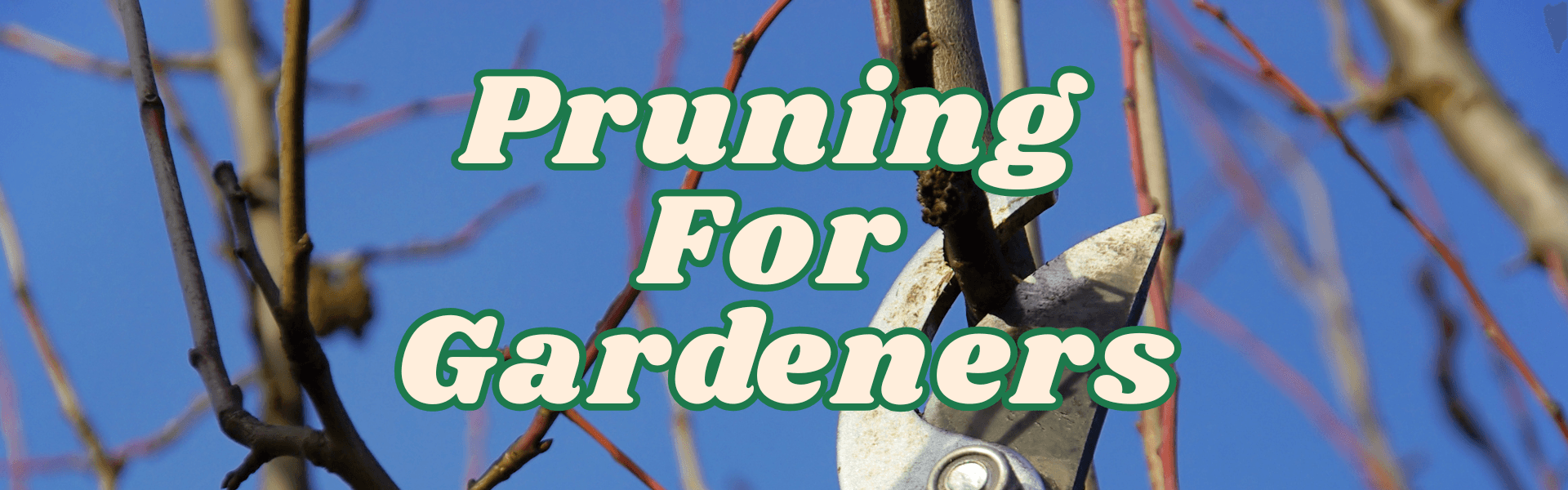 A Pruning Guide for Gardeners