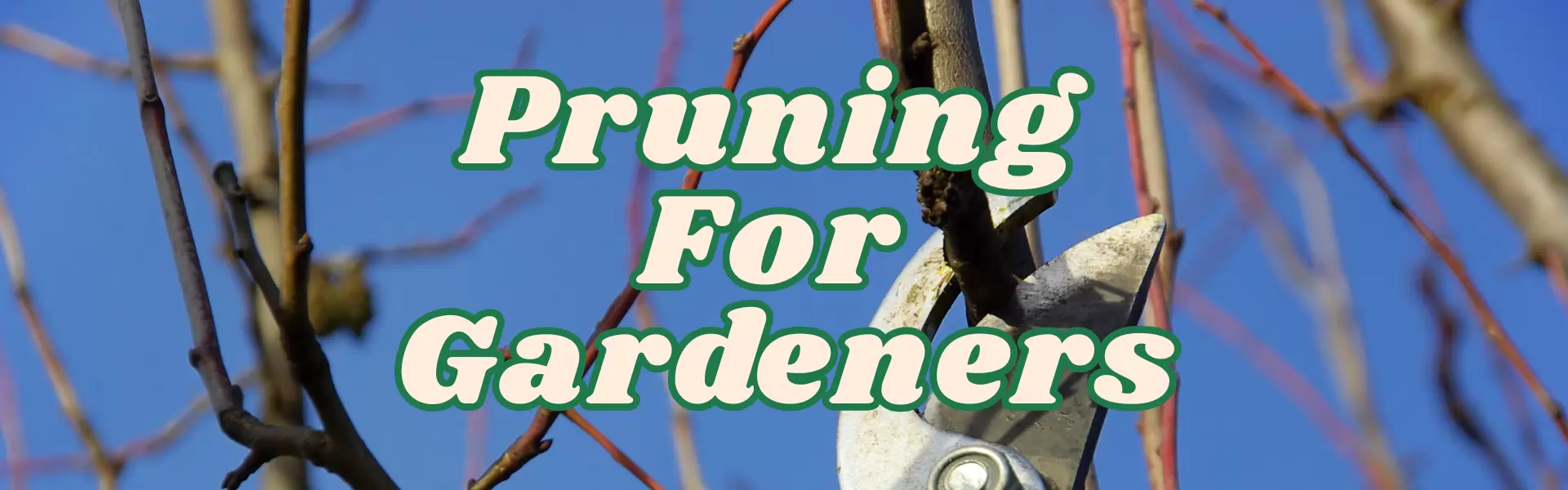 Pruning Guide For Gardeners Blog Banner Pruning For Gardeners