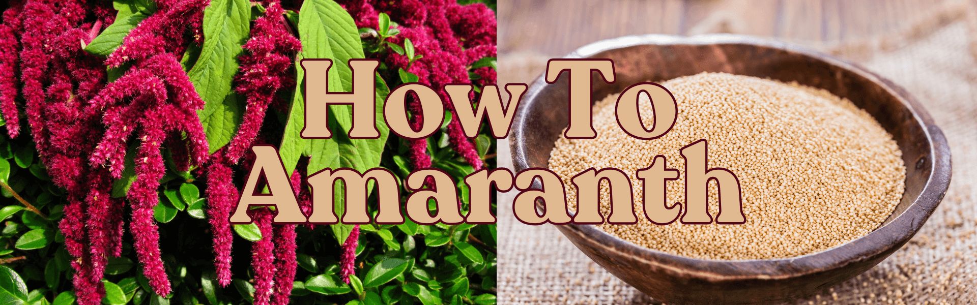 How To Amaranth