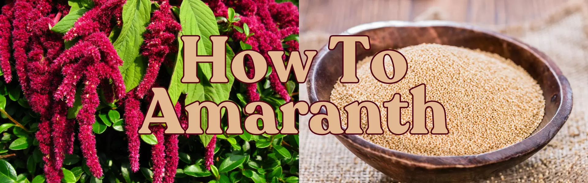 How To Amaranth