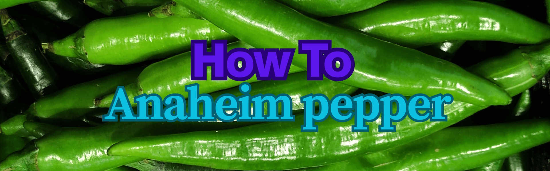 How To Anaheim pepper