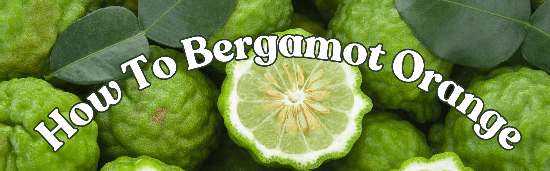 How To Bergamot Orange