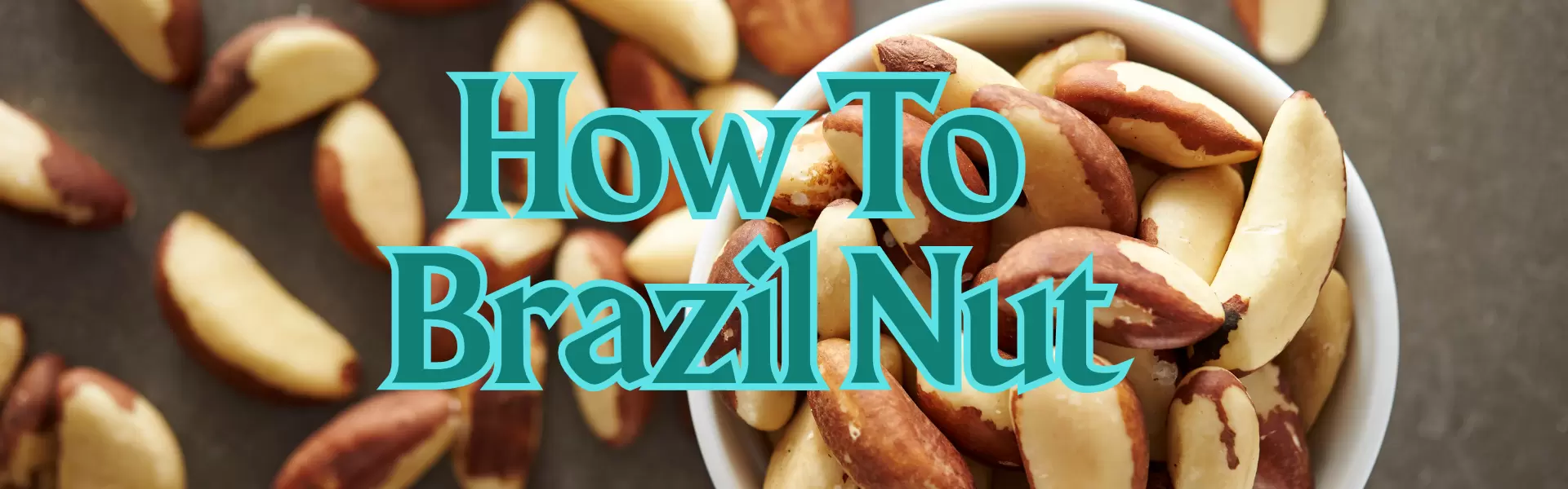 How To Brazil Nut How To Brazil Nut