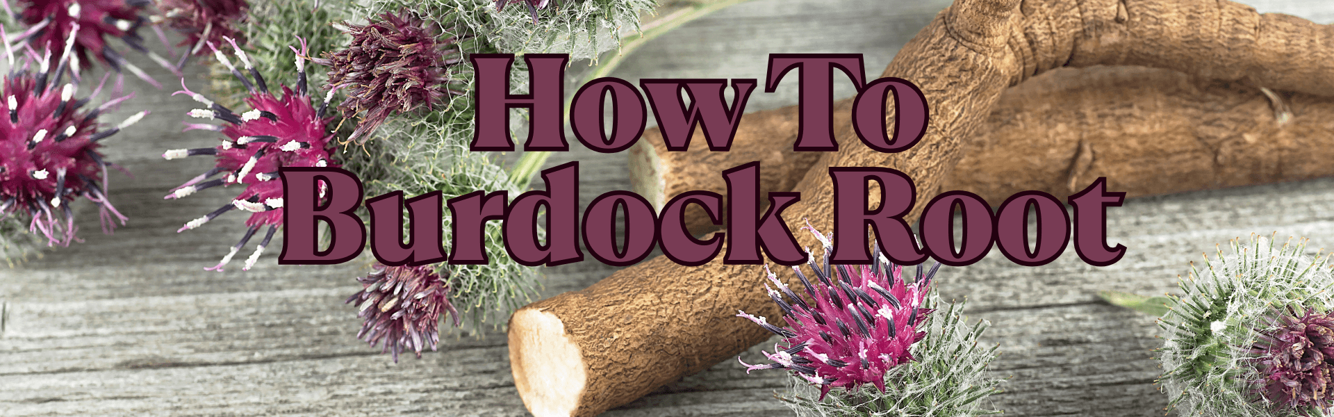 How To Burdock Root