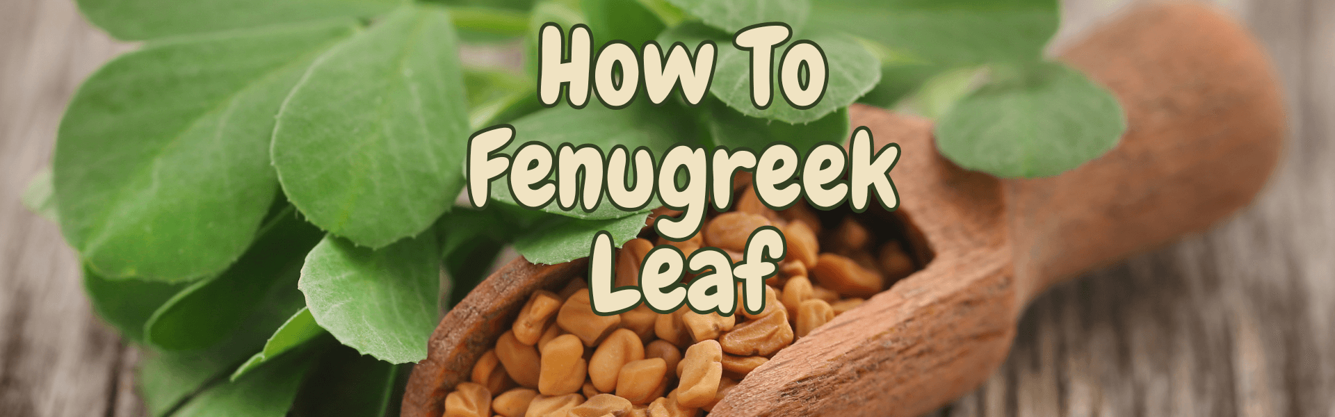 How To Fenugreek Leaf