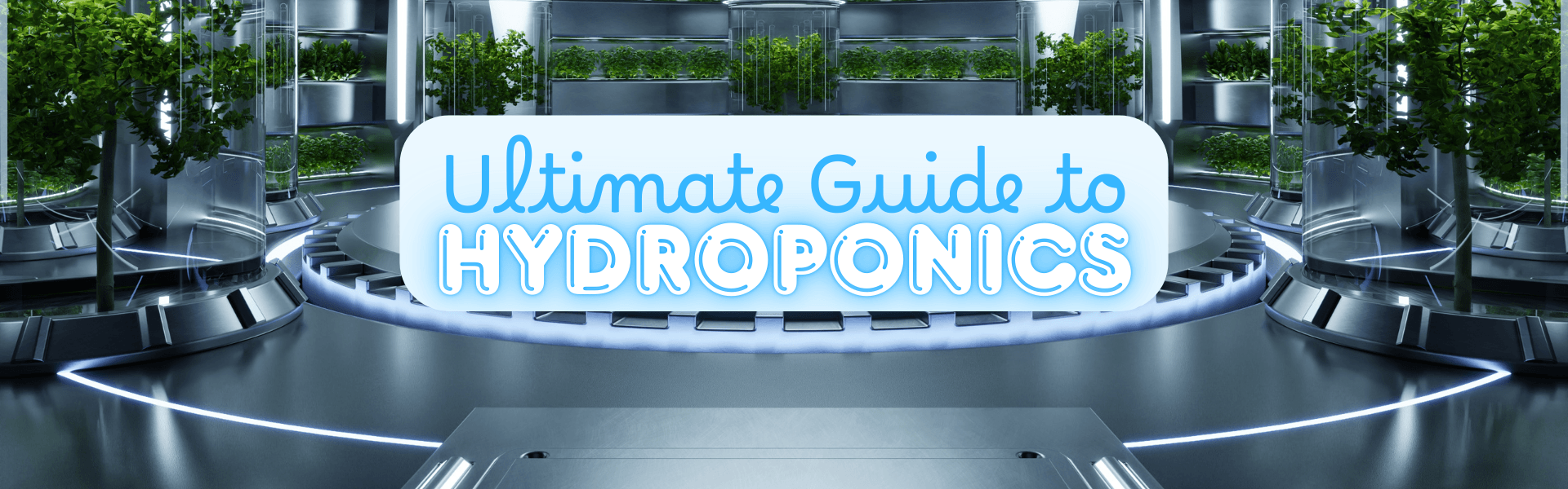 Hydroponics Guide Ultimate Guide to Hydroponics