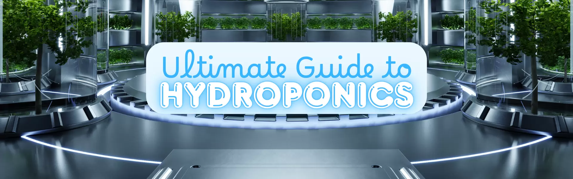 Hydroponics Guide Ultimate Guide to Hydroponics