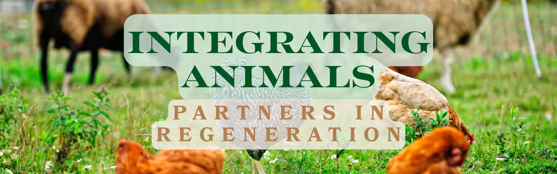 Integrating Animals Partners in Regeneration Integrating Animals Partners in Regeneration