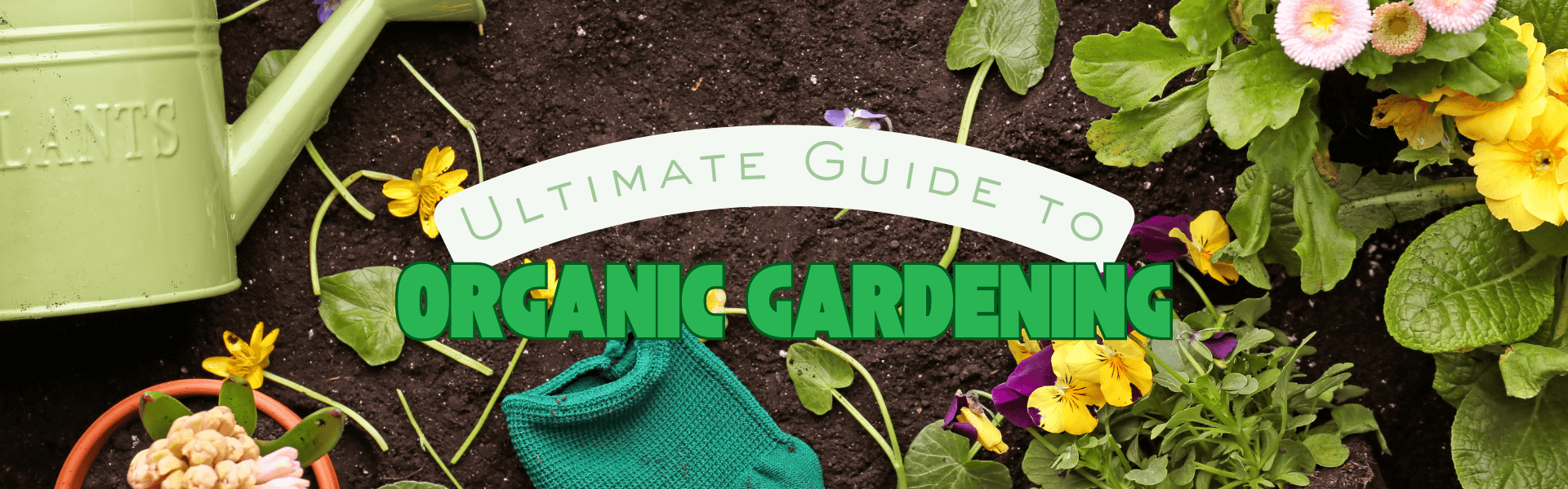 The Ultimate Guide to Organic Gardening: Creating a Thriving Oasis in Your Own Backyard