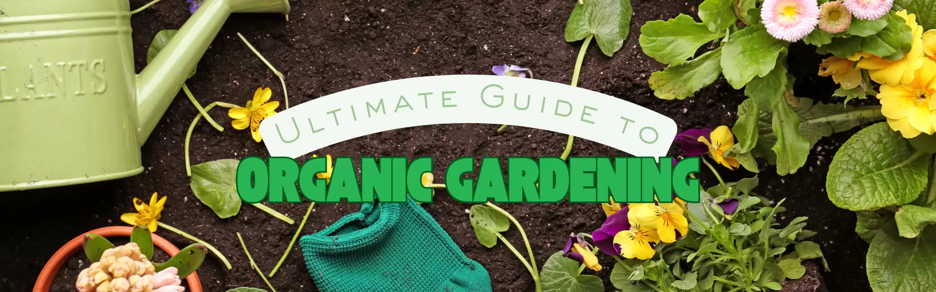 The Ultimate Guide to Organic Gardening: Creating a Thriving Oasis in Your Own Backyard
