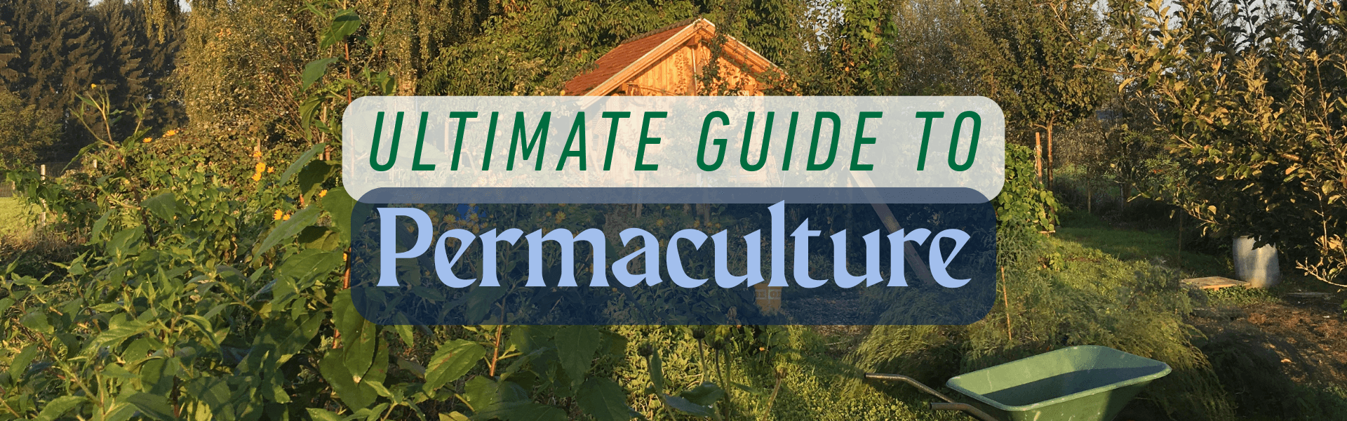 The Ultimate Guide to Permaculture: Designing Sustainable Systems Modeled on Nature