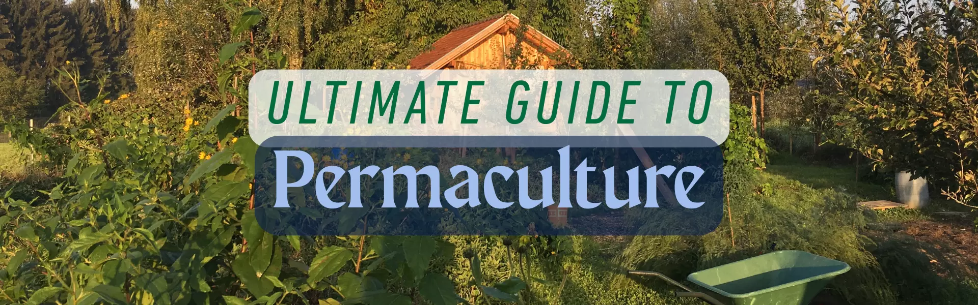 The Ultimate Guide to Permaculture: Designing Sustainable Systems Modeled on Nature