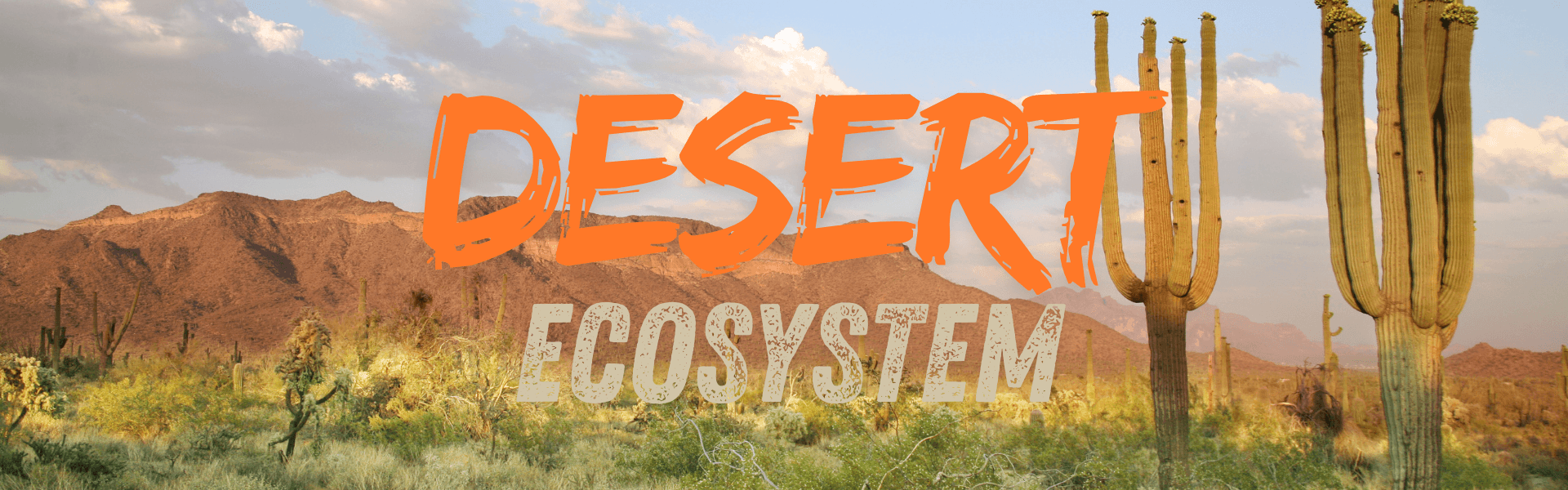 The Ultimate Guide to Deserts: Lessons in Resilience and Adaptation