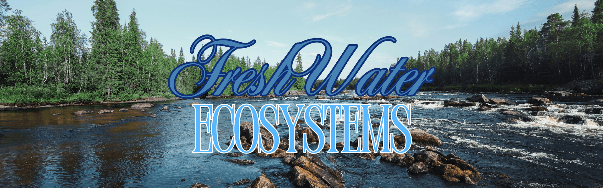 The Ultimate Guide to Freshwater Ecosystems: Understanding the Lifeblood of Our Planet
