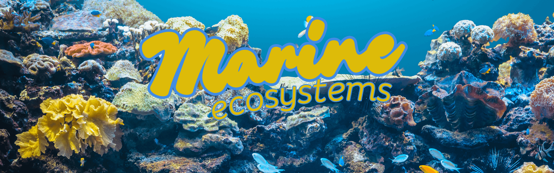 The Ultimate Guide to Marine Ecosystems: Protecting Our Planet’s Blue Heart
