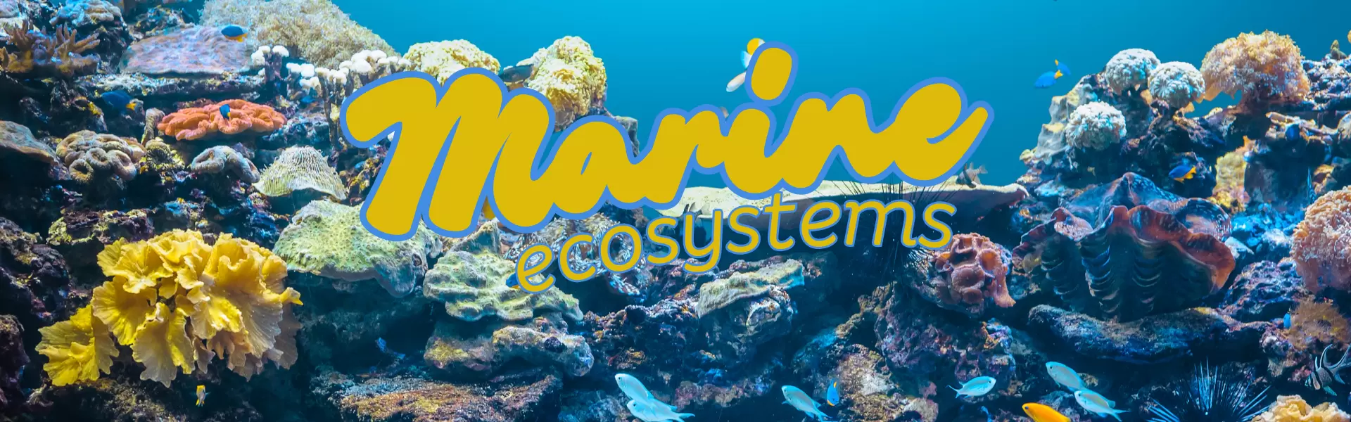 marine ecosystems blog banner marine ecosystems