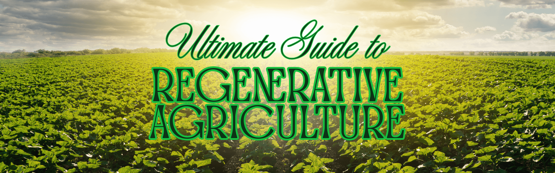 regenerative agriculture guide Ultimate Guide to Regenerative Agriculture