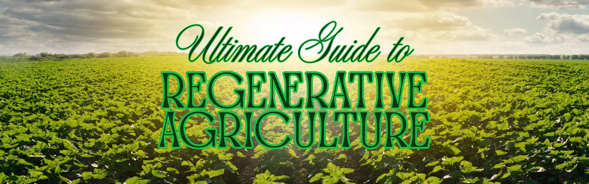 The Ultimate Guide to Regenerative Agriculture: Healing the Earth from the Ground Up