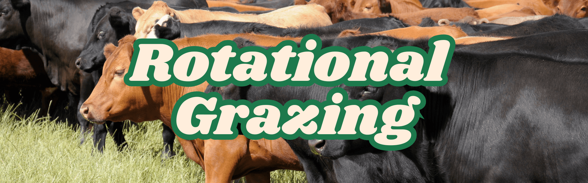 rotational grazing rotational grazing