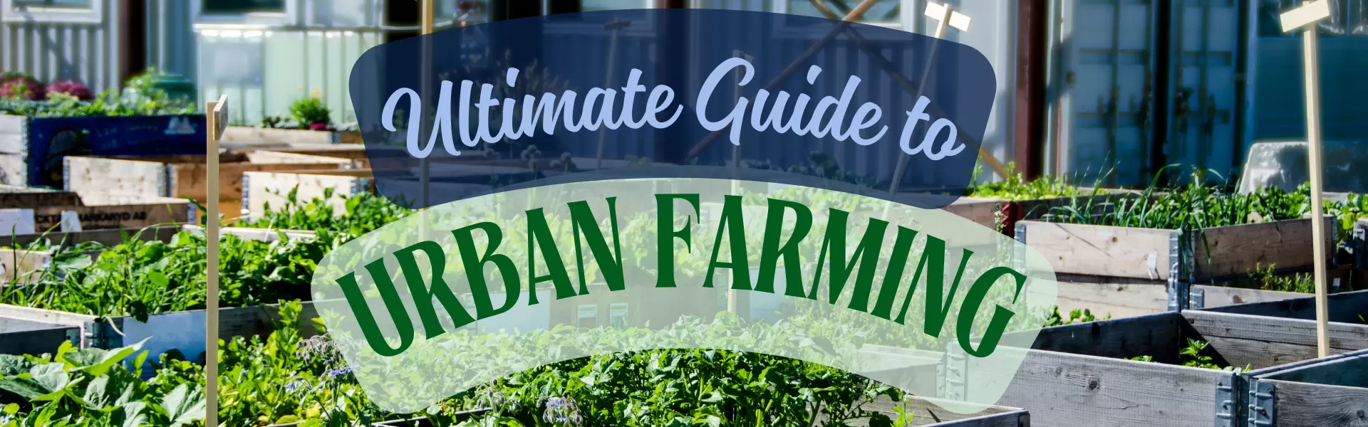urban farming guide Ultimate Guide to Urban Farming